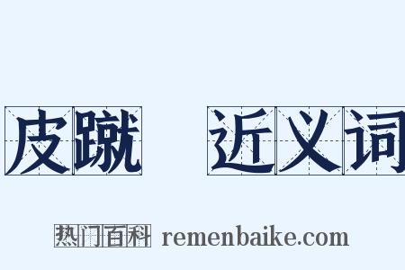 皮蹴毱近义词是什么意思的图片